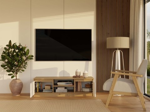 Szafka pod tv 120 cm RTV-501-ART-BIEL-MAT