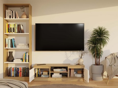 Szafka pod tv 120 cm RTV-501-ART-BIEL-MAT