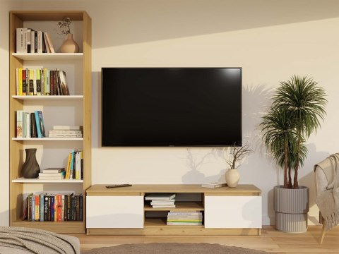 Niska komoda pod telewizor 140cm RTV-502-ART-BIEL-MAT