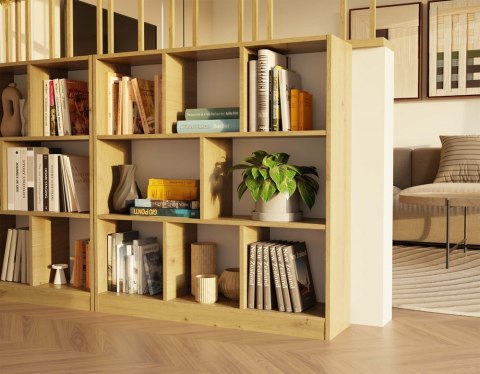 Regał na książki do salonu RE-1442-ART
