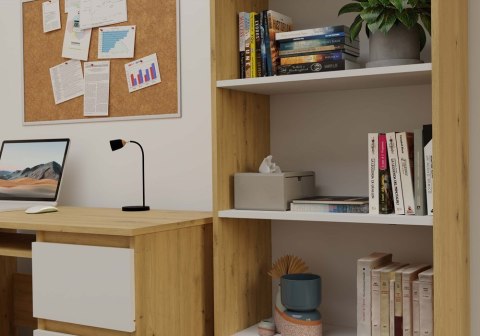 Regał 60 cm szerokości RE-1403-ART-BIEL-MAT