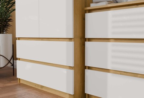 Szafa 2 drzwiowa SZAF-1008-ART-BIEL-MAT