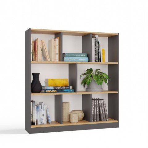 Regał na zabawki do pokoju dziecięcego RE-1442-ANT-ART