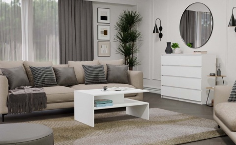 Stolik do kawy STOL-812-BIEL-MAT