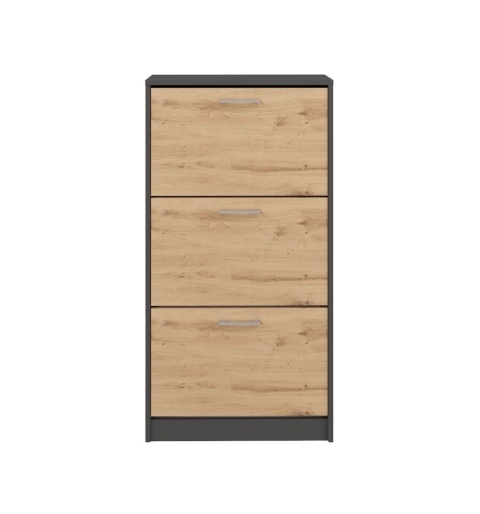 Pojemna szafka na buty BUT-201-ANT-ART