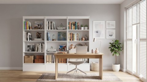 Domowa biblioteczka RE-1446-3X-BIEL-MAT