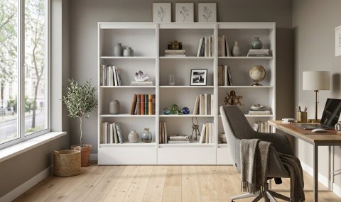 Domowa biblioteczka RE-1446-3X-BIEL-MAT
